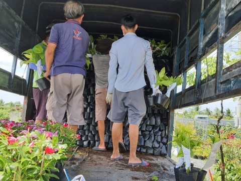Hàng đi ngày 10/10/2020