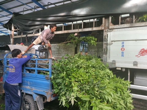 Cảm ơn anh em Tiền Giang đã ủng hộ hoa kiểng Hưng Lợi