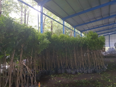 Cảm ơn anh em Tiền Giang đã ủng hộ hoa kiểng Hưng Lợi